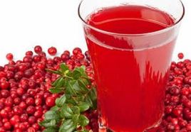 jus cranberry - obat infeksi saluran kemih jus cranberry - obat infeksi saluran kemih