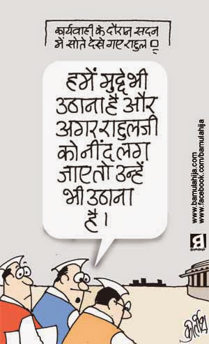 rahul gandhi cartoon, congress cartoon, parliament, cartoons on politics, indian political cartoon