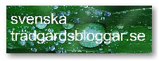 Svenska trädgårdsbloggar