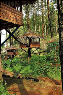 tree houses bandung car rent