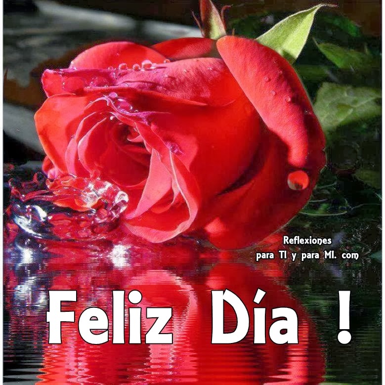 Buenos Deseos para TI y para MÍ: * Feliz Día ! (Rosa roja)