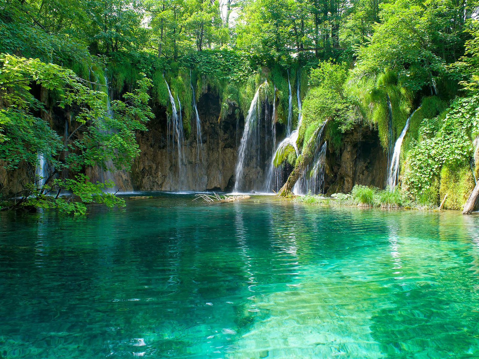 cascadas de agua en el bosque enrte árboles