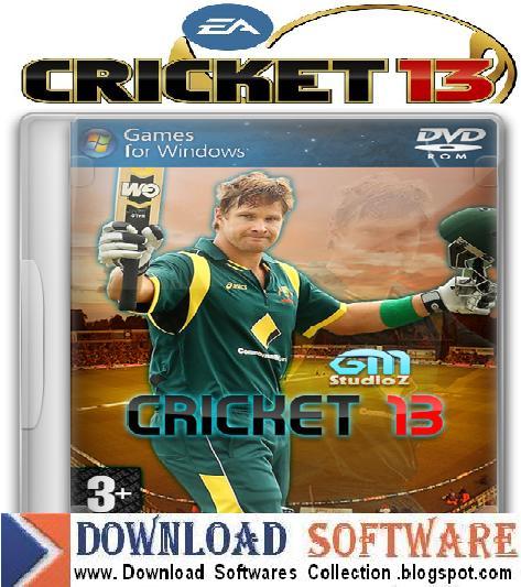 Play Ashes 2013 Game