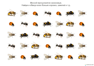 Раскраски для логики и мышления Раскраски для логики и мышления
