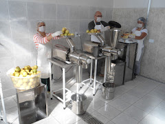 SALON EMPRENDEDOR KIT FABRICAR PULPAS - JUGOS DE FRUTAS