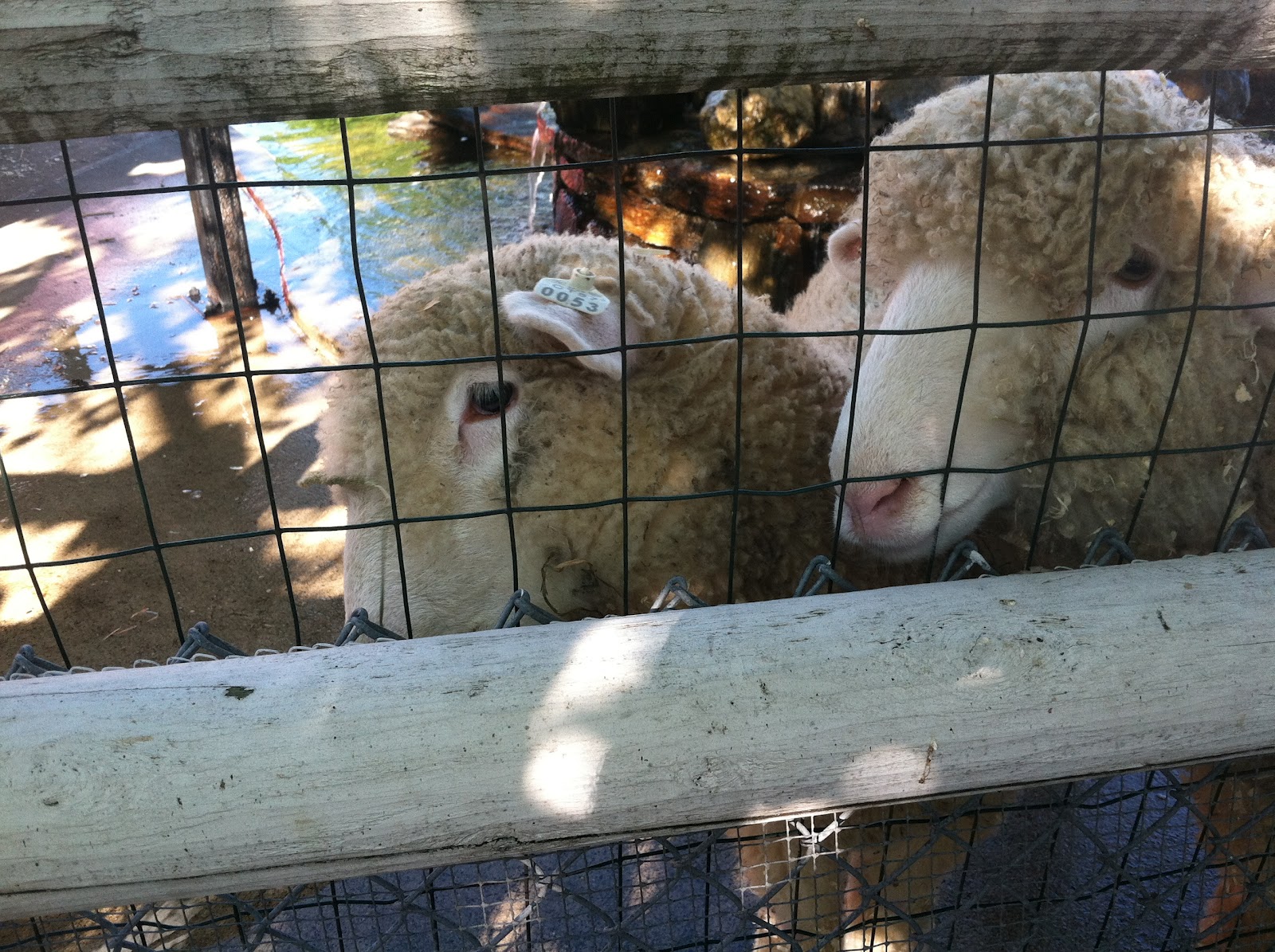 Inside The Actors Studio Apartment Day 4 Return To Stew Leonard’s An