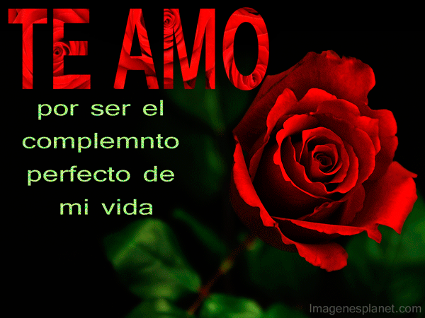 Fotos De Rosas Romanticas Para Que Las Envies A Tu