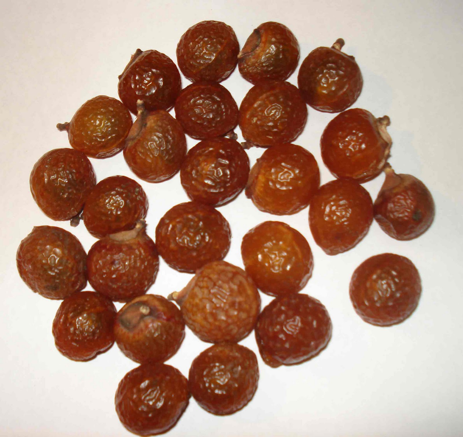 Soap Nut Powder