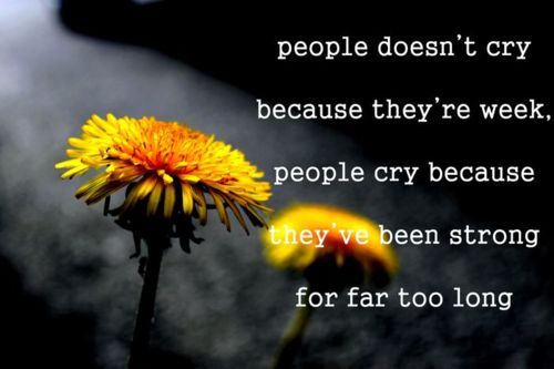 Funny Pictures Gallery: Flower quotes, flowers quotes, flower quote