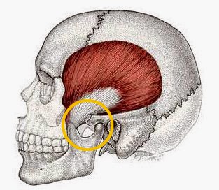 douleur oreille et mâchoire