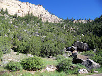 Saltlick Trailhead