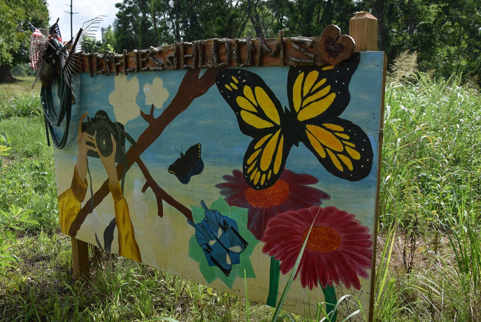 Using Native Plants Butterflies and Blooms