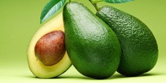 Manfaat Buah Alpukat untuk Kesehatan dan Kecantikan Manfaat Buah Alpukat untuk Kesehatan dan Kecantikan