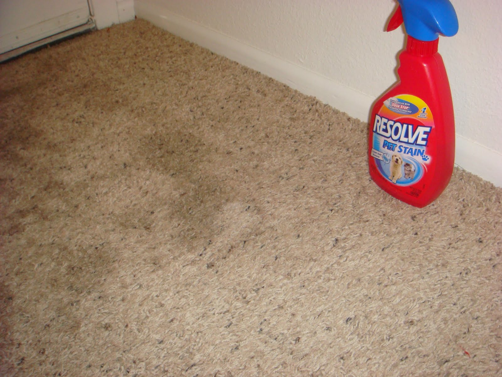 Everyday Rustic Vinegar and Baking soda tackle the carpet stains