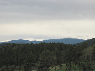 View of forest, distant mountains, and snow-covered peaks under layered gray skies in Colorado.