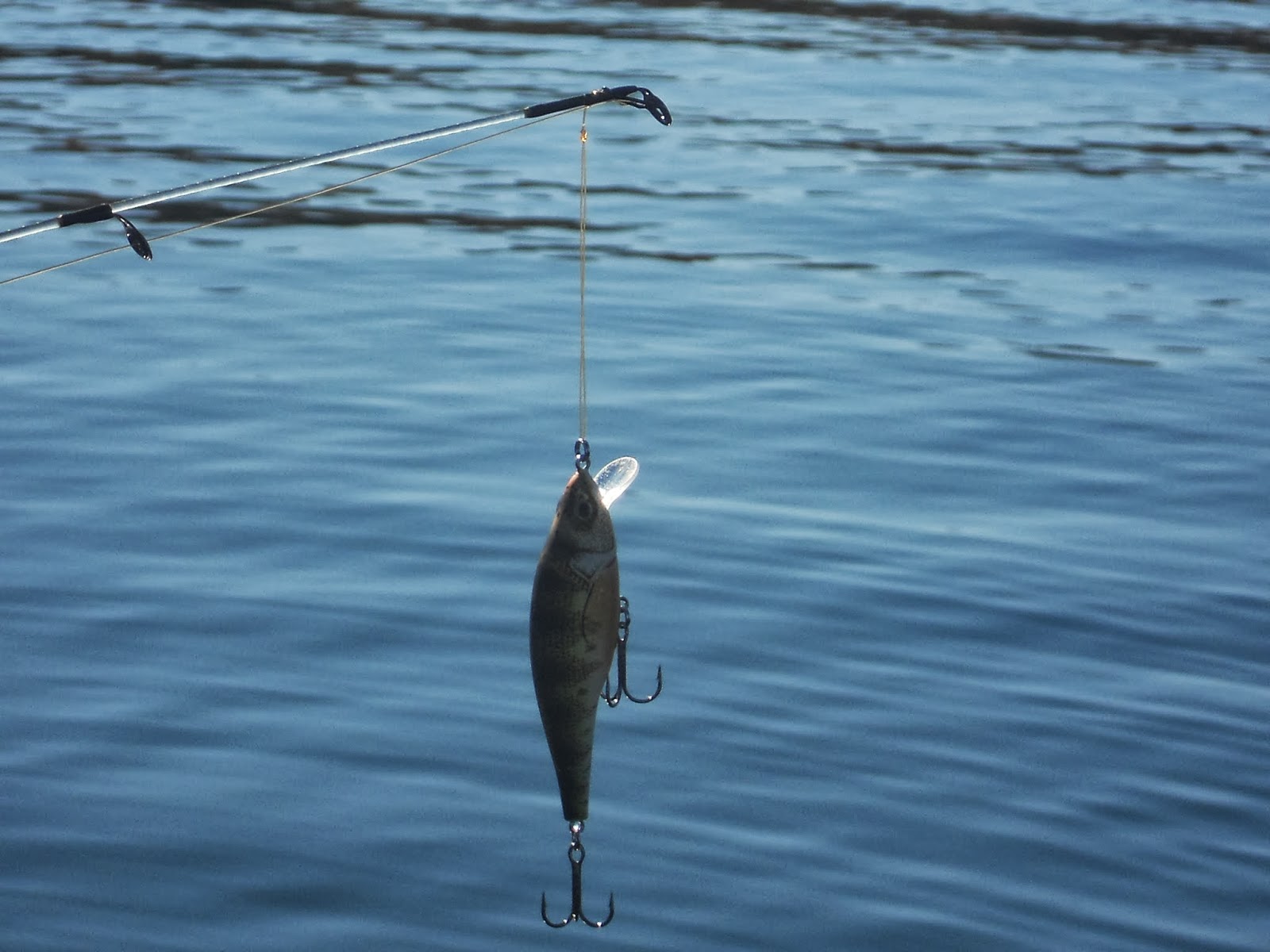 Greg Cholkan's Fishing Blog: Life Lessons from a Jumbo Perch