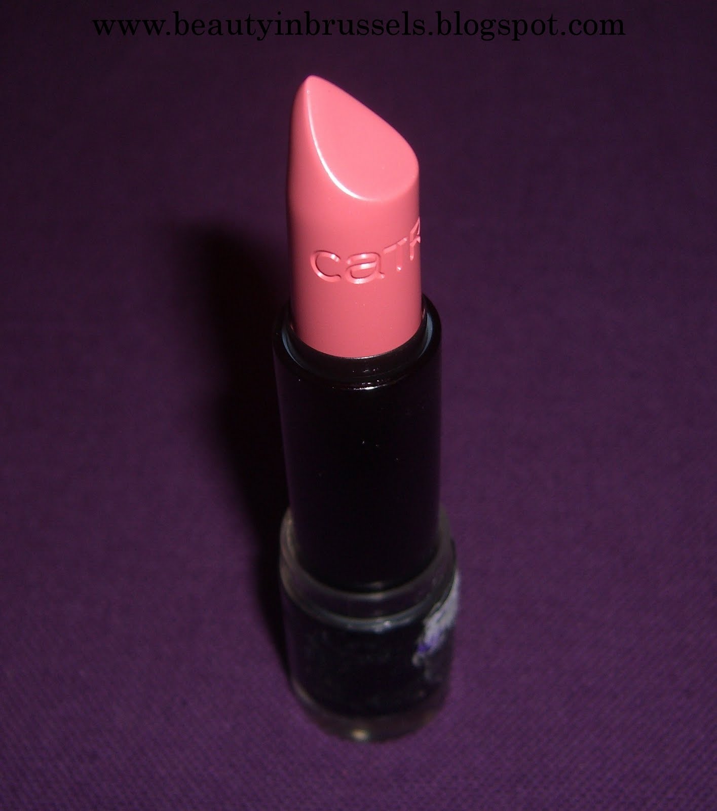 Colour Rose