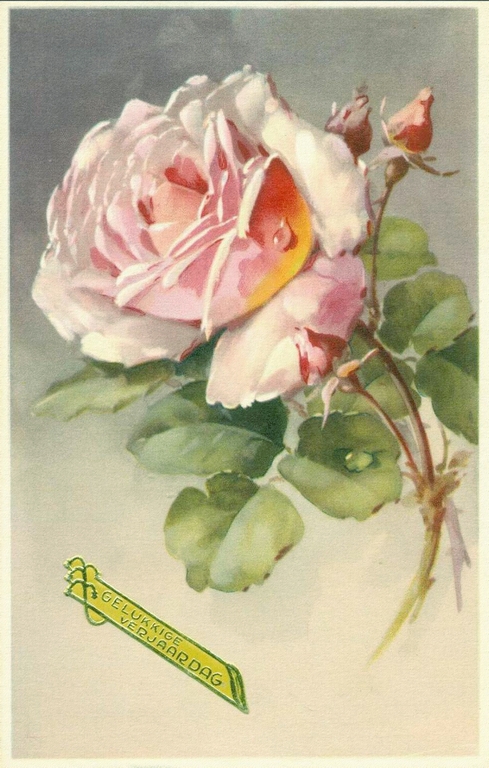 61