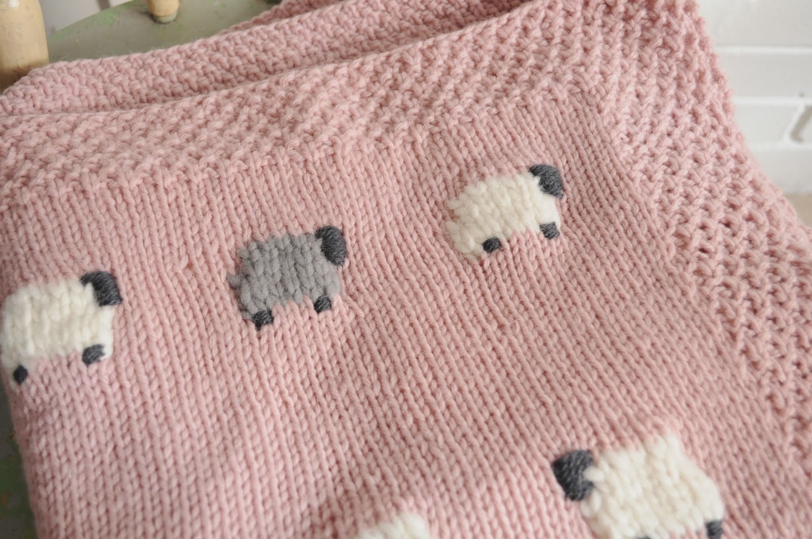 fieldguided: baa baa black sheep