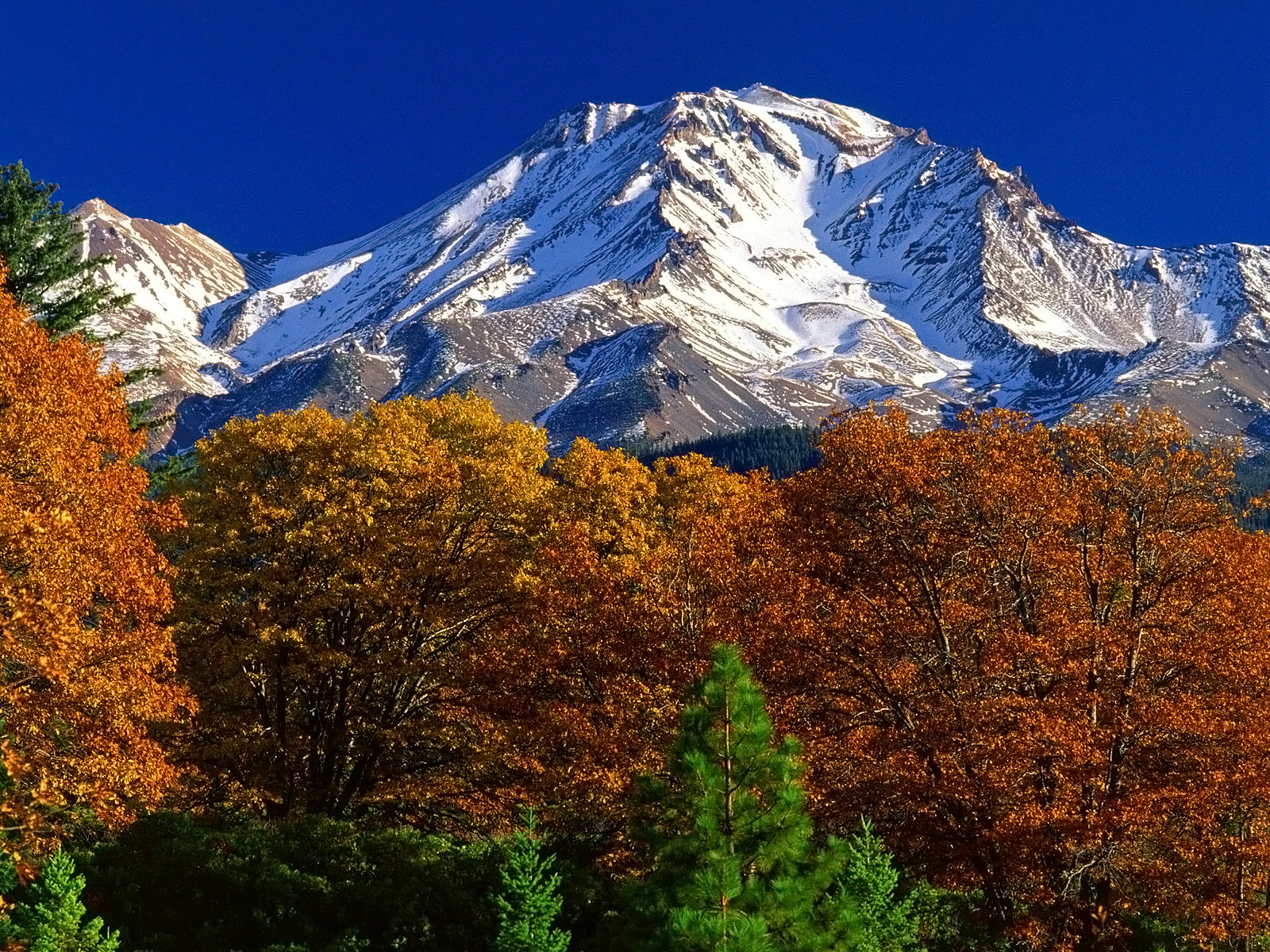 http://4.bp.blogspot.com/-_KOL8s5kU5o/UMl5vPnkZlI/AAAAAAAAa9k/-_4yZvE8Pwg/s1600/bm-image-778987.jpeg