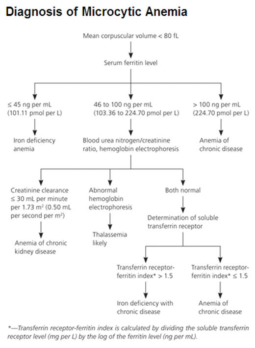 Phimaimedicine 1,376. ﻿Microcytic anemias/ approach in elderly