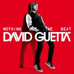 David+guetta+nothing+but+the+beat+deluxe+zippy