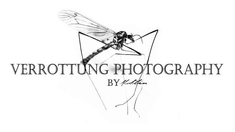 Verrottung Photography by Frau M. Størn