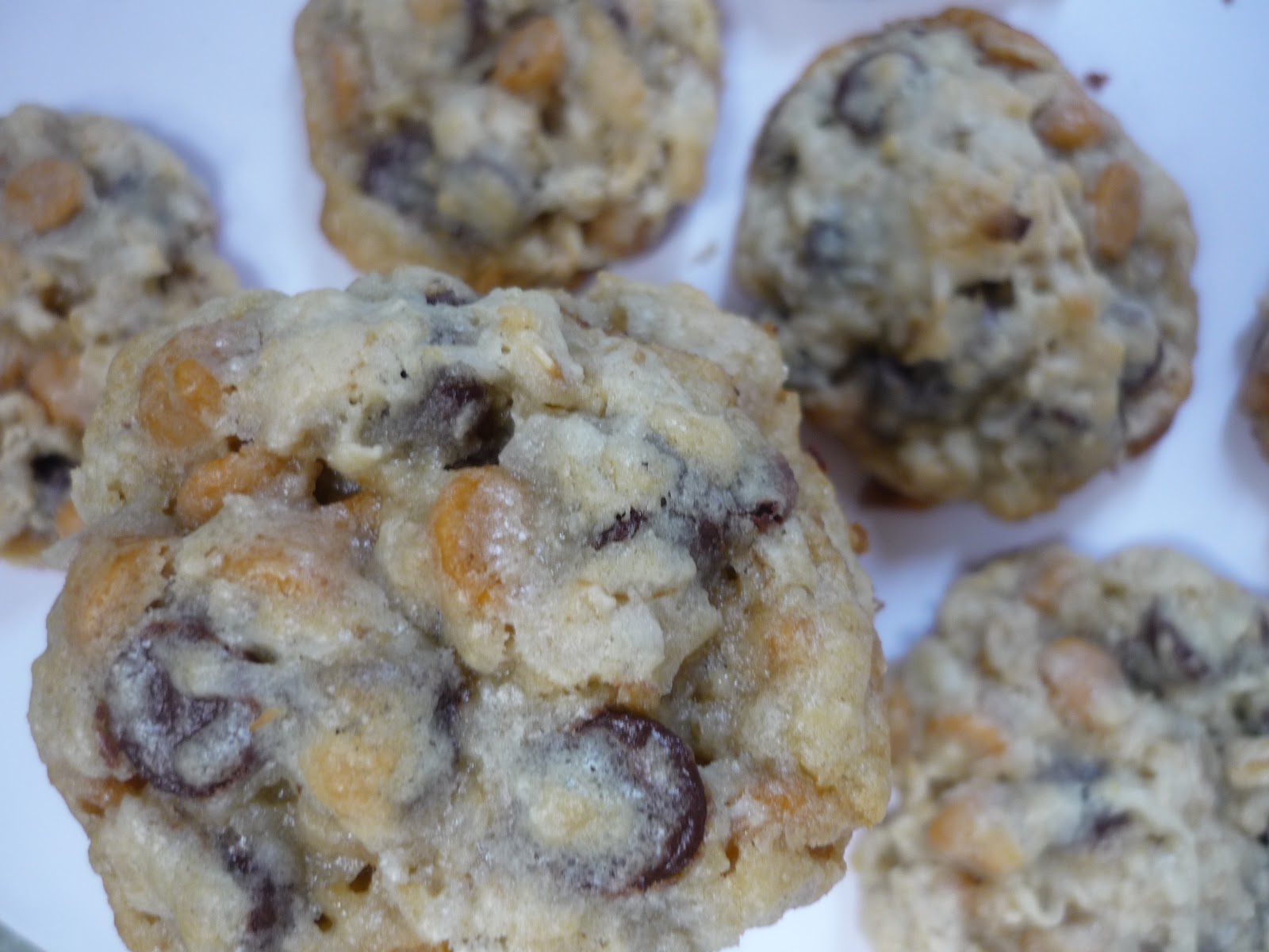 My Kitchen, My Love Butterscotch Chocolate Chip Oatmeal Coconut Cookies