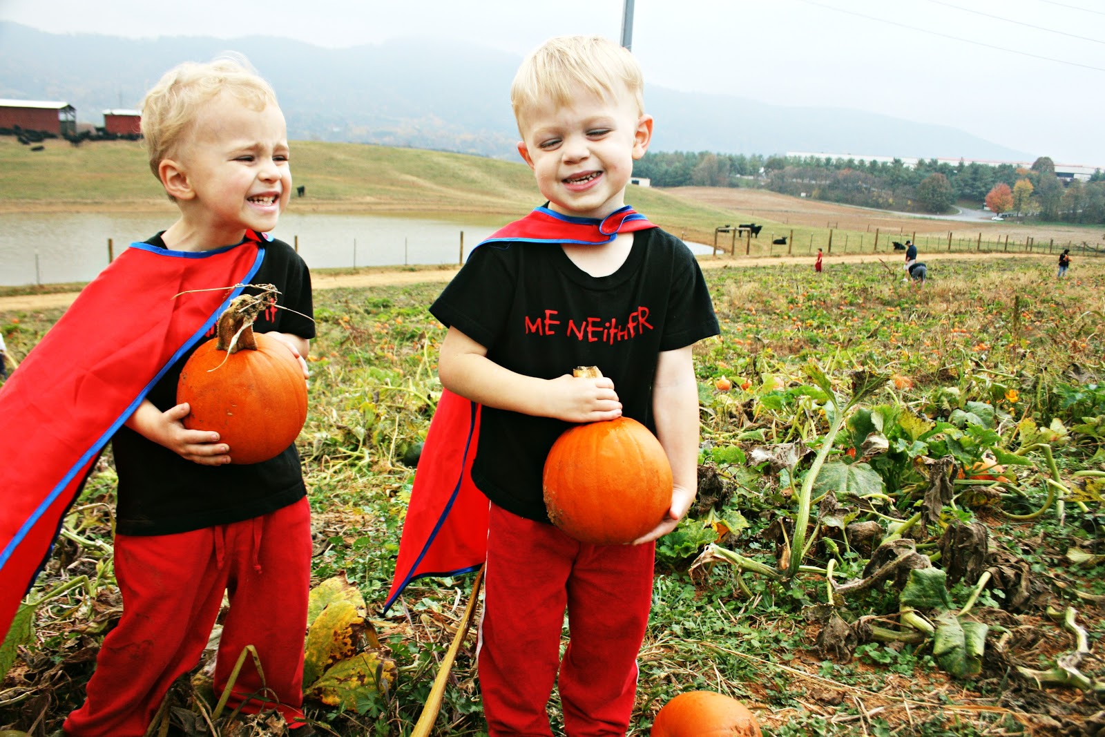Two Bears Farm and the Three Cubs The Pumpkin Patch Jeter Farm