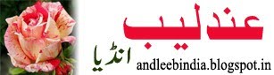 AndleebIndia.blogspot.com from Hyderabad India | Health, Beauty, Food recipe, Urdu Literature