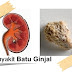 Obat Ampuh Penghancur Batu Ginjal Tradisional