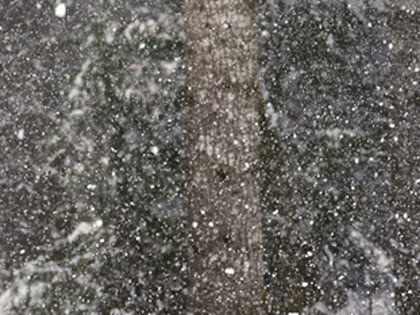 Времето застудява все повече, максималните температури около нулата Времето застудява все повече, максималните температури около нулата