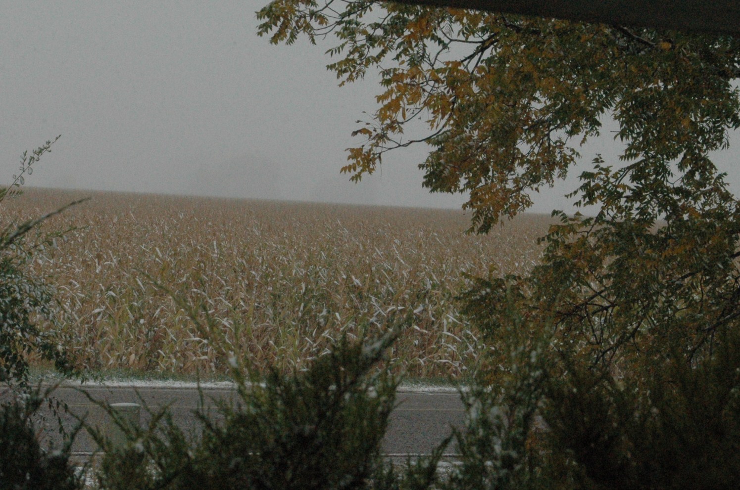 Loving and Learning on the High Plains The First Dusting of Snow