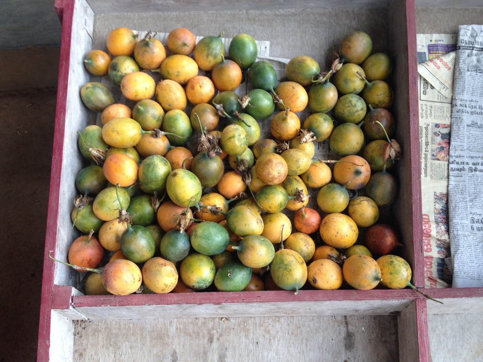 KANTHALLOOR THE LAND OF FRUITS TOURIST ATTRACTIONS IN KANTHALLOR