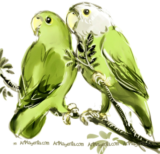 Grey-headed Lovebird Grey-headed Lovebird sketch painting. Bird art drawing by illustrator Artmagenta