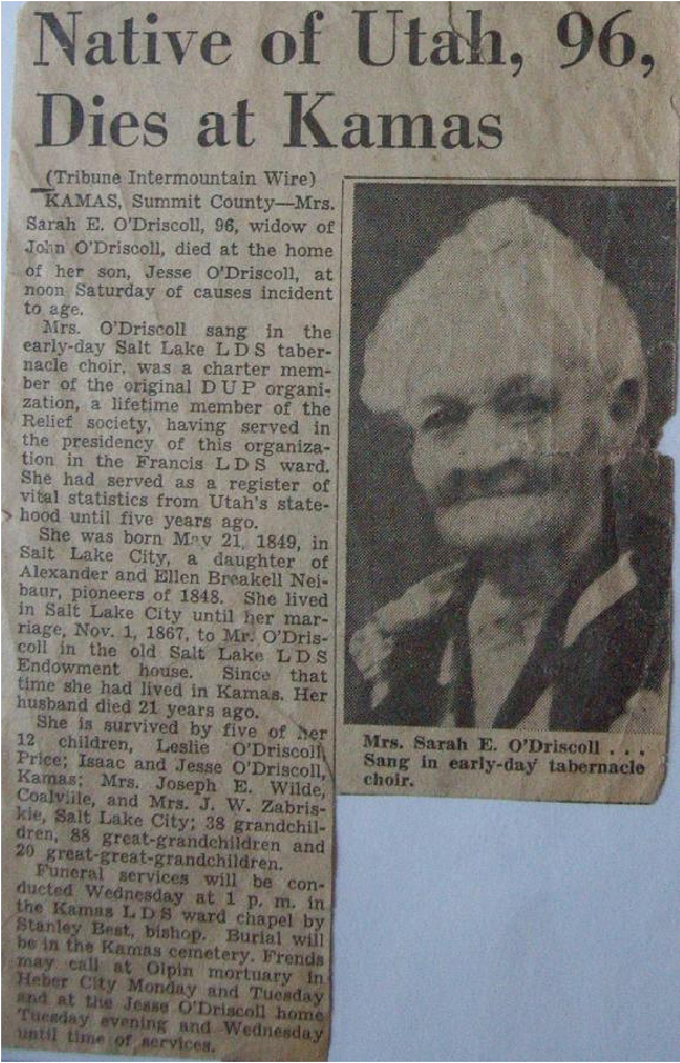 Our Book of Remembrance Sarah Ellen Neibaur O'Driscoll obituary