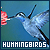 I like hummingbirds