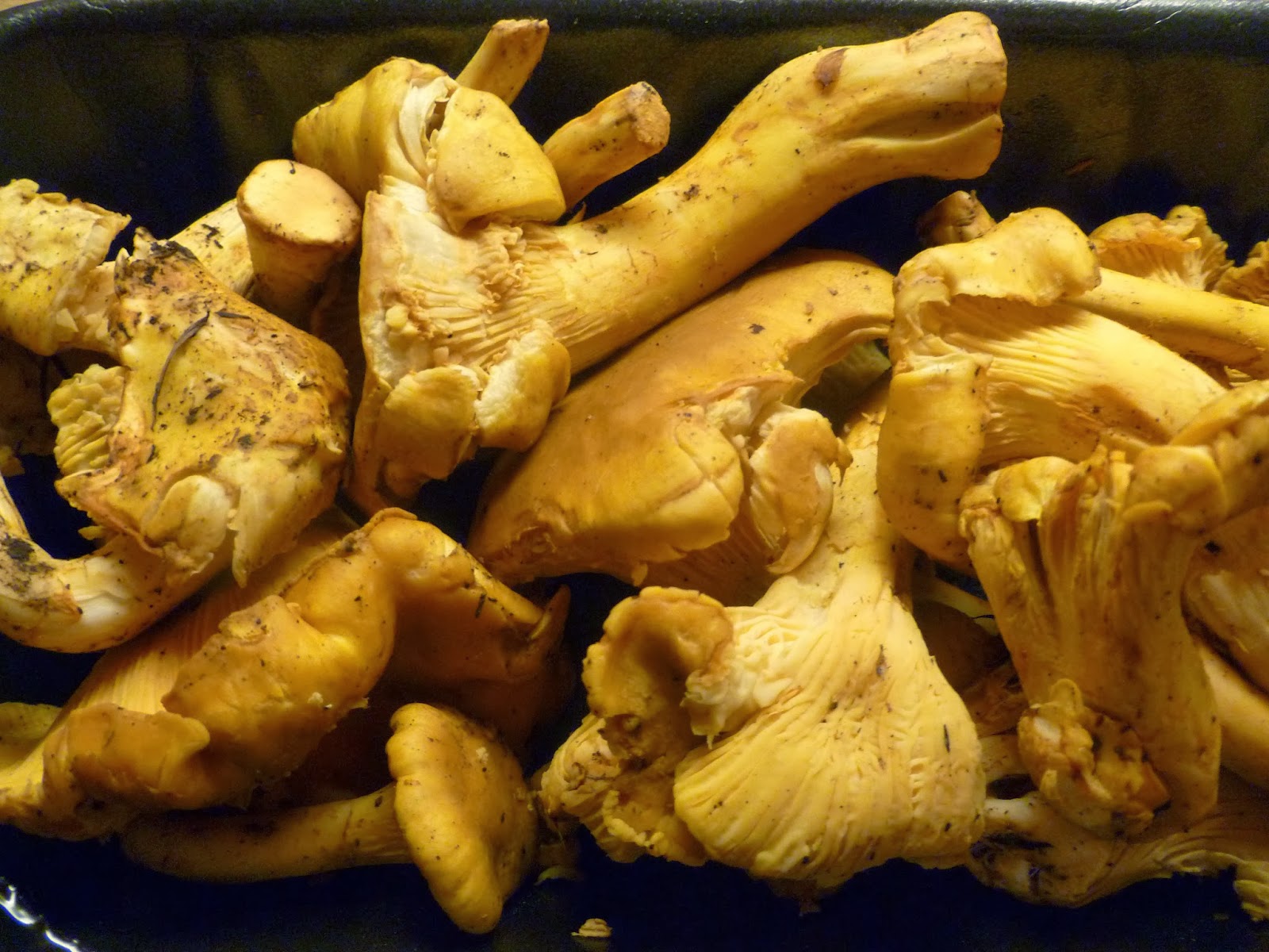 Lindaraxa Chanterelles With Madeira Over Crispy Baked Polenta