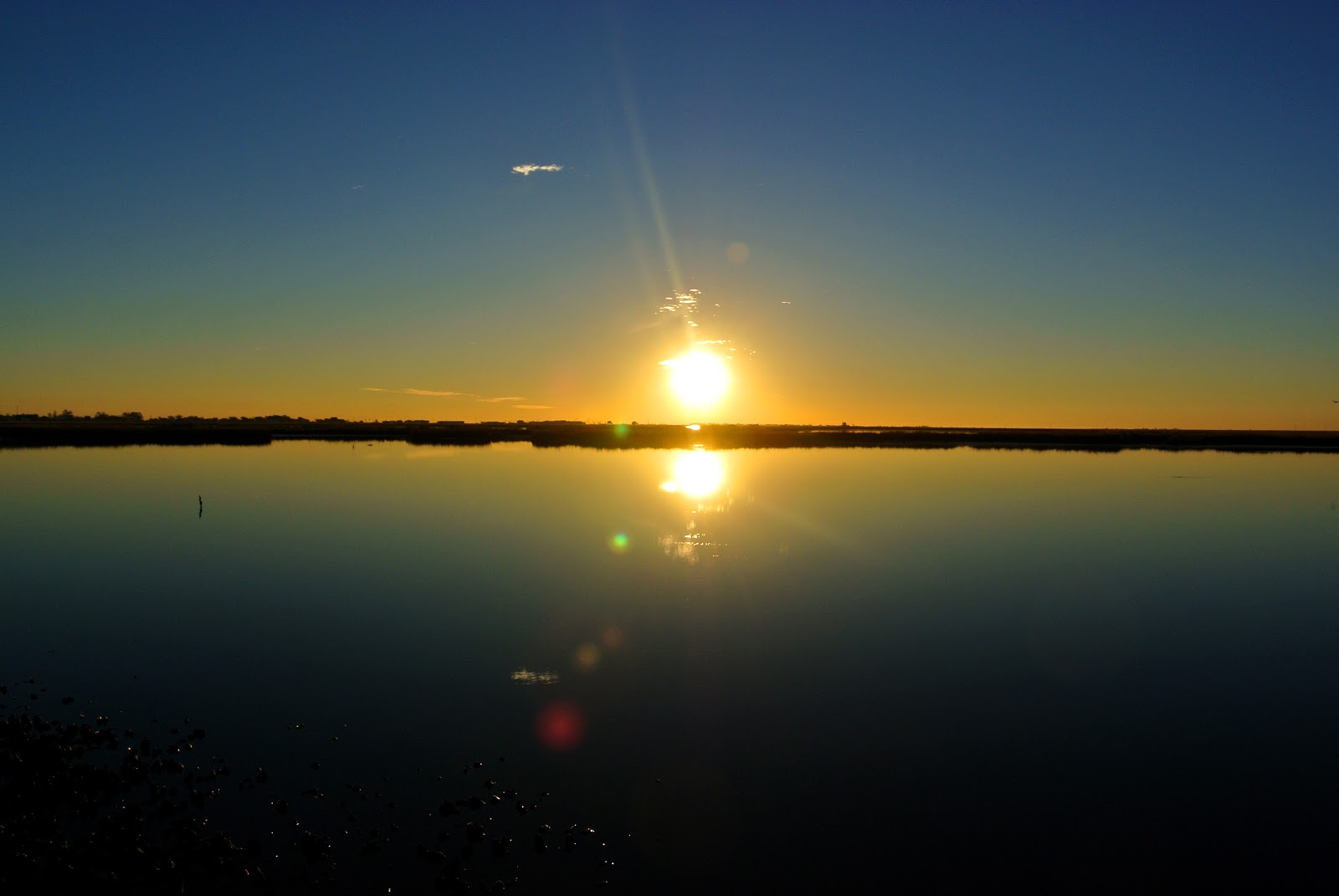 El Camino Blues... Point Aux Chene Fishing...