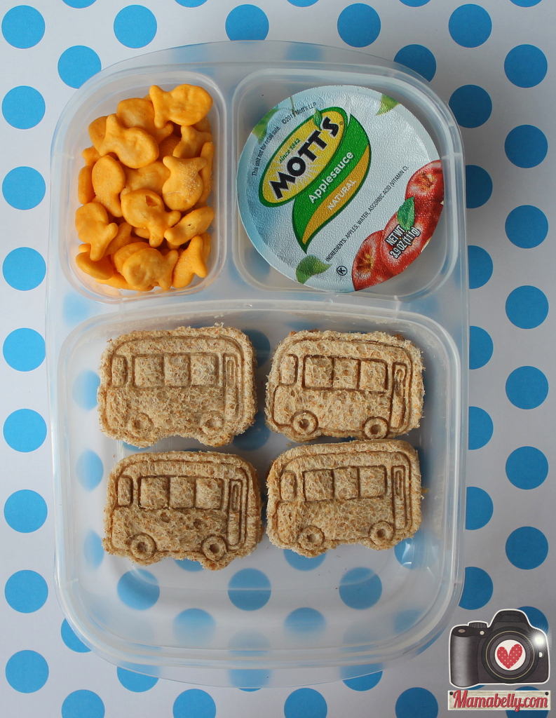 Mamabelly's Lunches With Love Throw (together) & Go Lunches