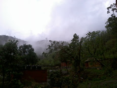 AWESOME CLIMATE