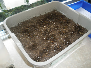 The Art of Teaching: A Kindergarten Blog: April 2011