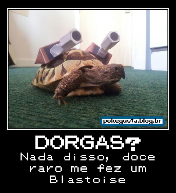 tartaruga