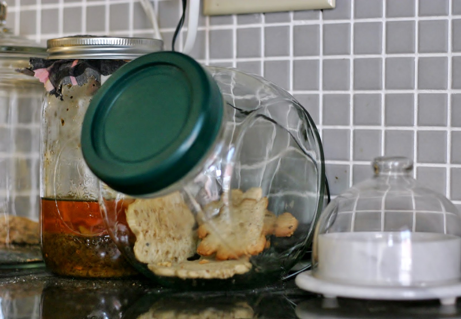 Thrift at Home Filling the Cookie Jar Sesame Cookies