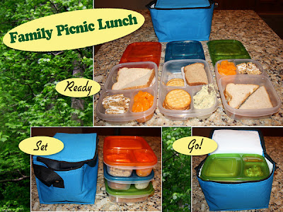 Family picnic, romantic surprise, healthy meals