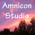 Amnicon Studio