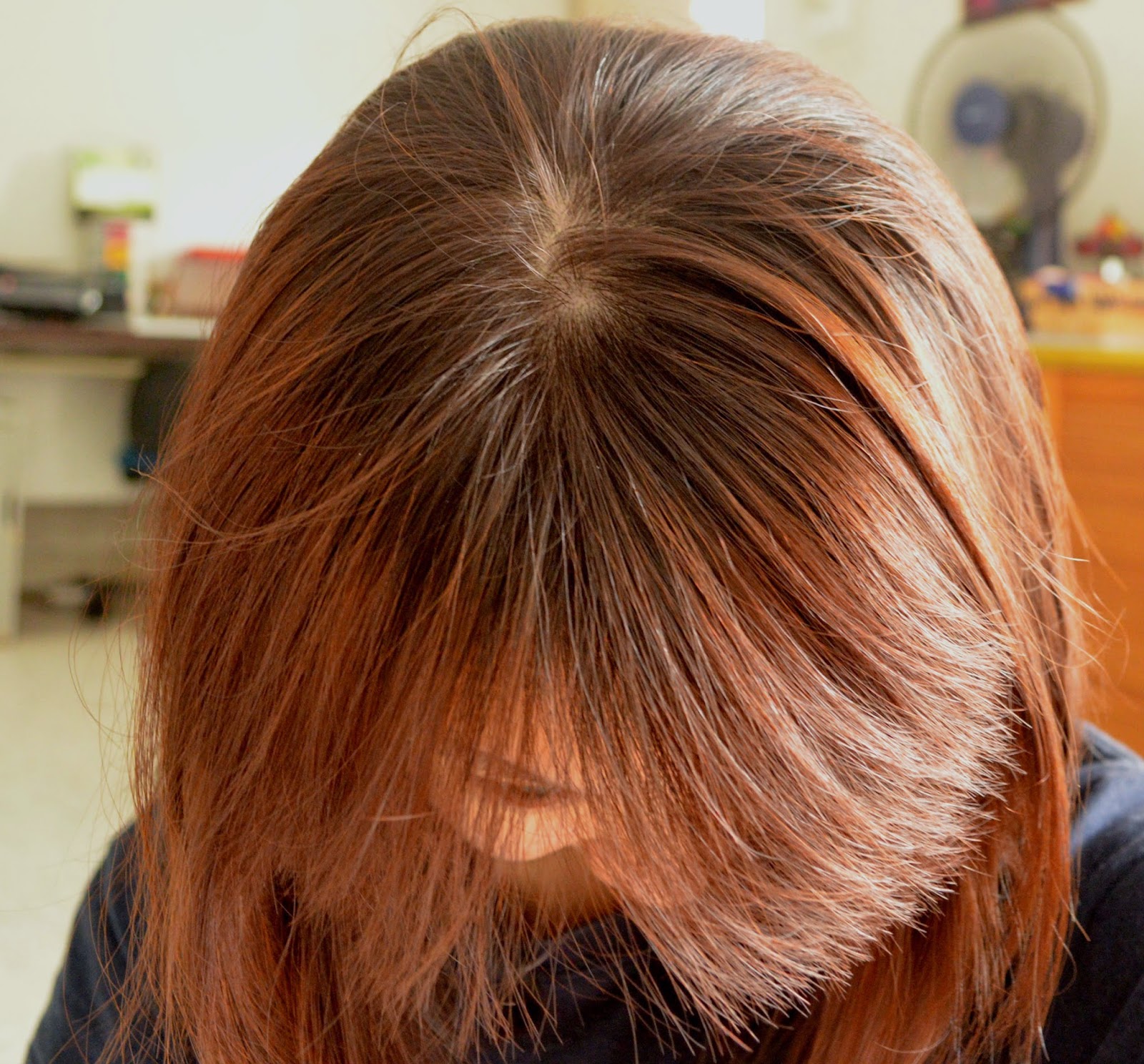 Rachel Lim Liese bubble hair color Sweet Apricot