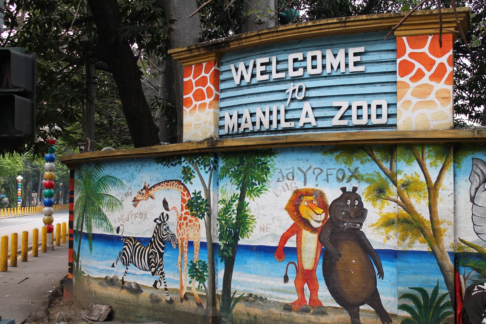 Manila zoo experience essay image