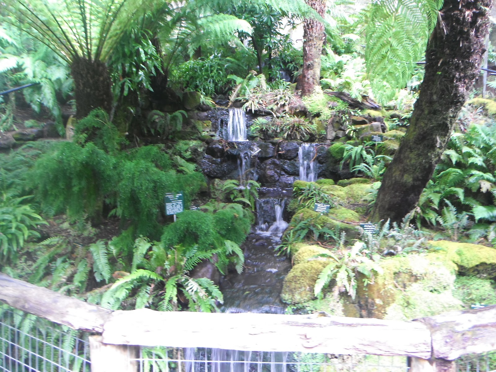 Hobart+Bot.+Gdns+011.JPG
