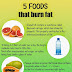 5 Foods that Burn Fat